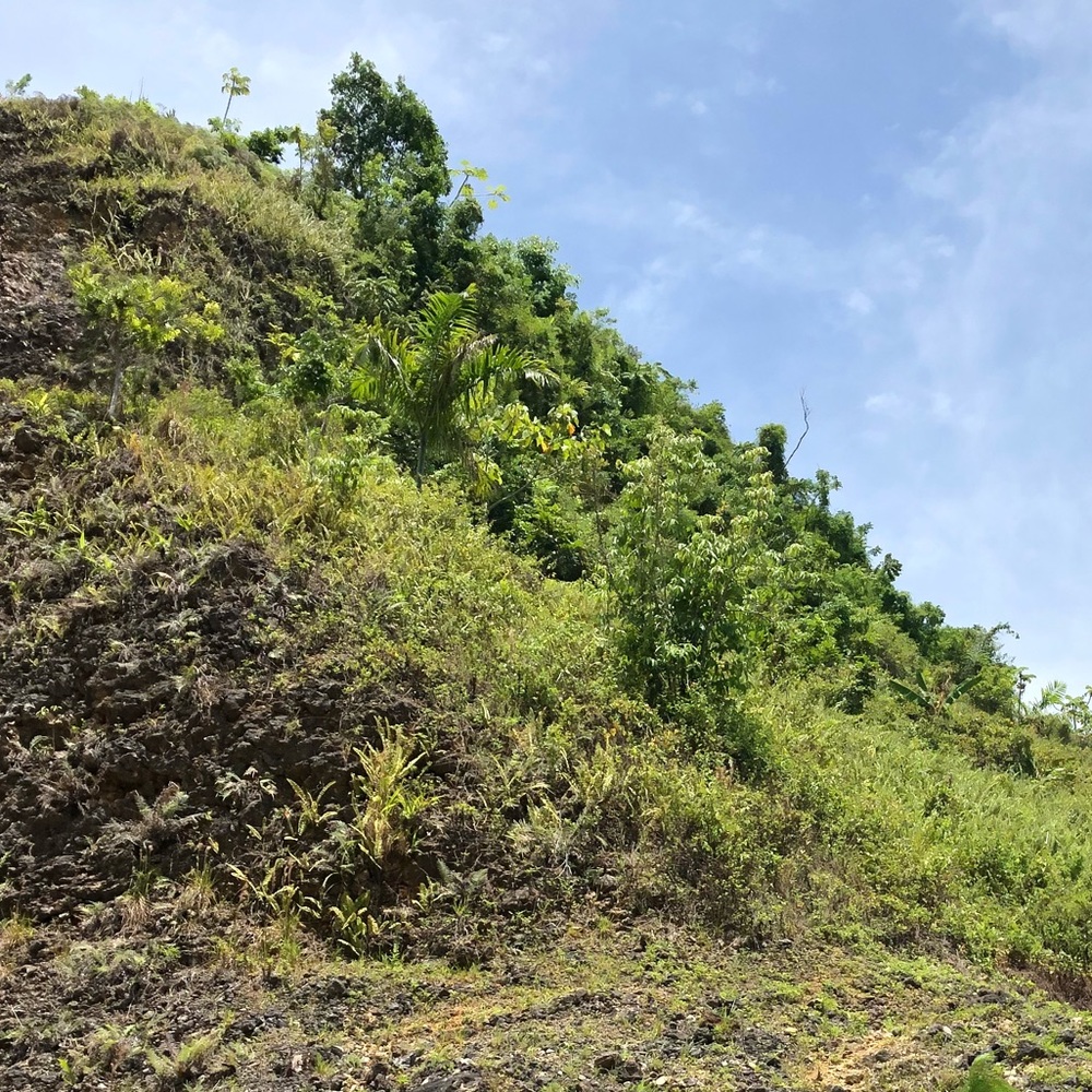 Meet your Posher, Ash